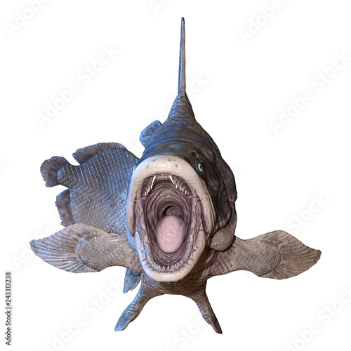 3D Rendering Mawsonia Fish on White photo