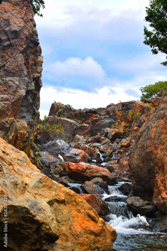 Obraz premium river in grand canyon