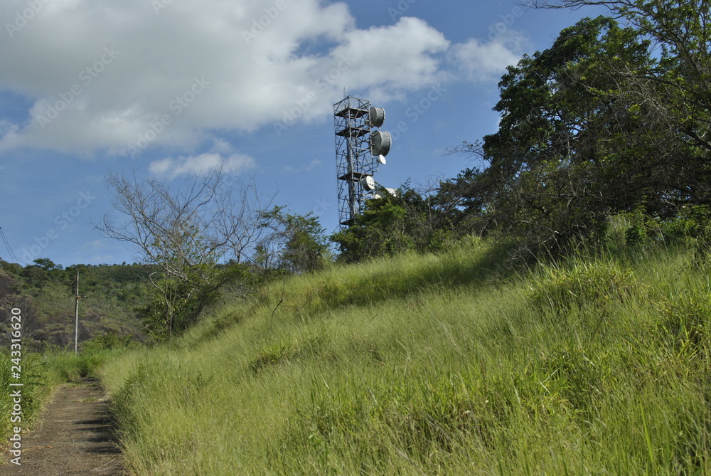 Obraz premium path in a field