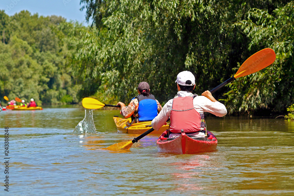 People row in kayak. Recreation concept. Woman in red kayak. Girl paddling in the calm Danube river near the shore with green trees.