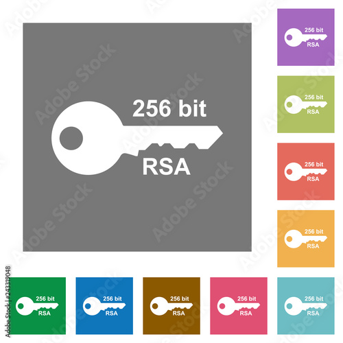 256 bit rsa encryption square flat icons