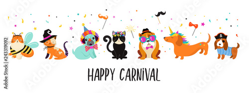 Funny animals, pets. Cute dogs and cats with a colorful carnival costumes, vector illustration