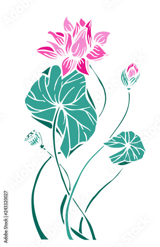 Composition of lotus flower with leaves in hand drawn style. Water lily vector illustration isolated on background.