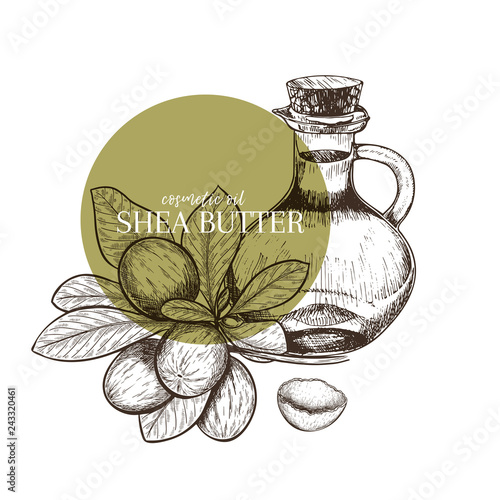 Hand drawn set of essential oils. Vector shea nut butter. Medicinal herb with glass dropper bottle. Engraved art. Good for cosmetics, medicine, treating, aromatherapy, package design health care.