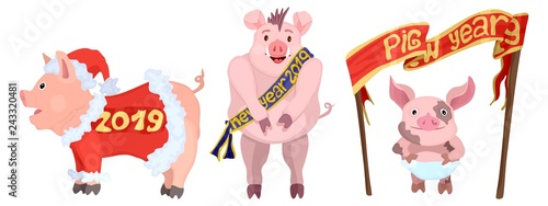 three bright bright New Year piglets selection