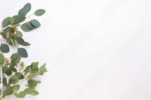 Flowers and eucalyptus composition. Pattern made of various colorful flowers on white background. Flat lay stiil life.