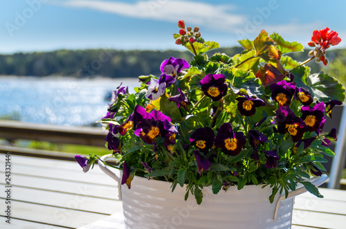 Colorful collection of flowers on a table in front of a bright blue sky, the shimmering ocean and a green forest