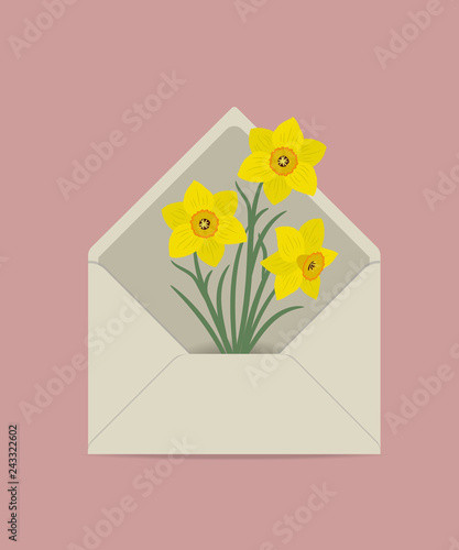 Fototapeta Naklejka Na Ścianę i Meble -  Yellow daffodils in the postal envelope. Spring flowers. Flower delivery concept. Floral composition. Vector illustration on a pink background