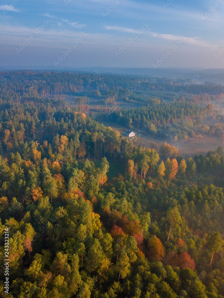 Aerial landscape with foggy sunrise over meadows and forest