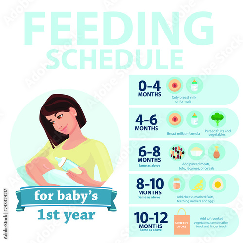 Feeding schedule for babies 1 year.