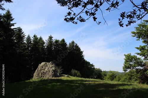 Pierre de la Wivre vers le Mont Beuvray : antre de la dragonne photo