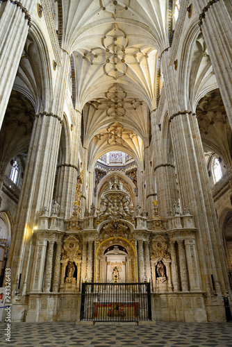 Salamanca  Spain - November 15  2018  Interior of the Cathedral of Salamanca.