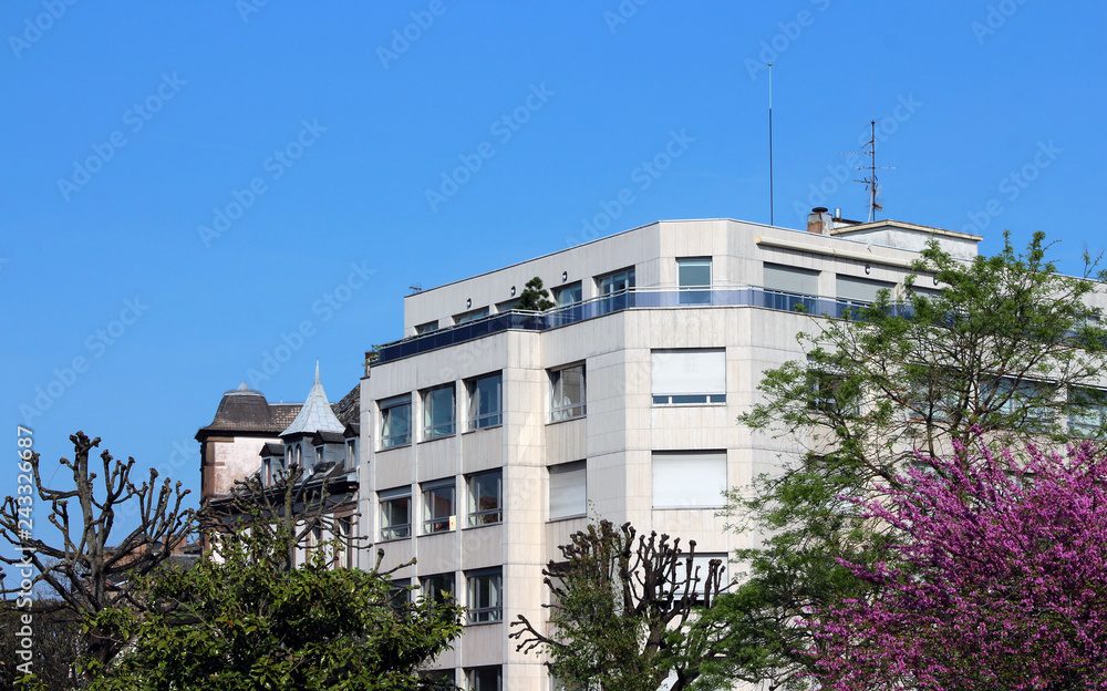 real estate - small office building - trees
