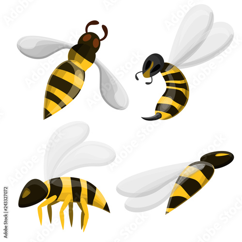 Wasp icons set. Cartoon set of wasp vector icons for web design