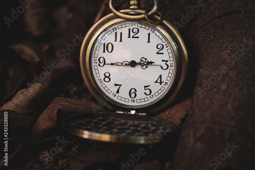 Pocket watch with brown nature, pocket watch vintage.
