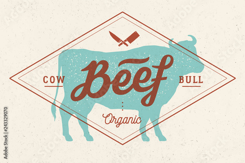 Cow, bull, beef. Vintage lettering, retro print, poster