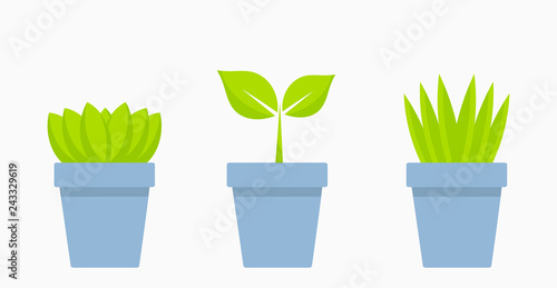 House plants in blue pots icons.
