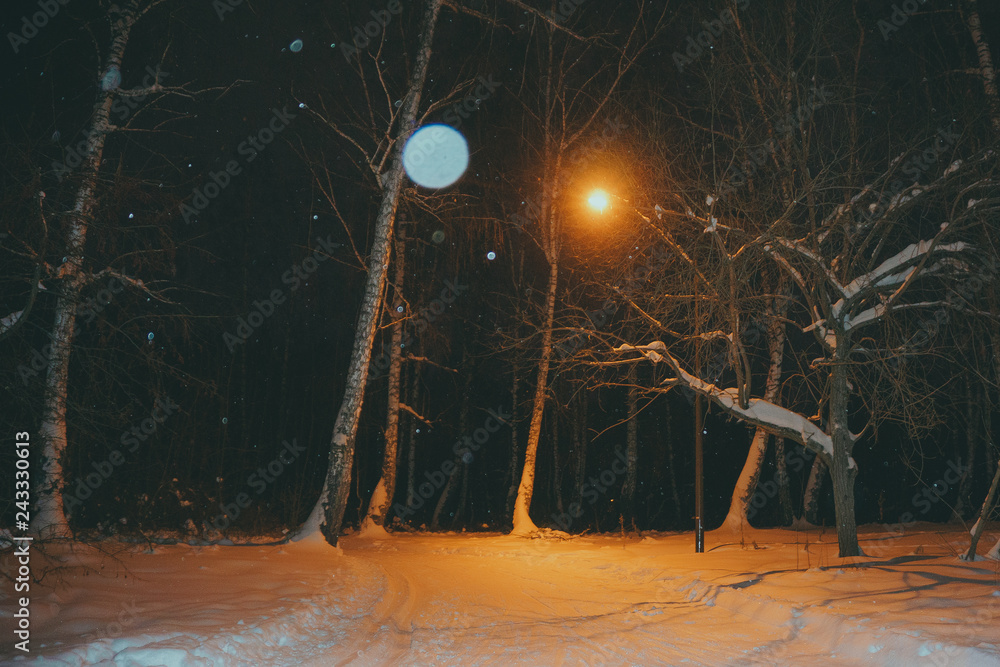 Fototapeta premium winter road in the forest in the evening