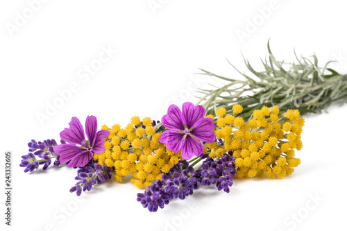 Fototapeta Naklejka Na Ścianę i Meble -  lavender mallow and helichrysum