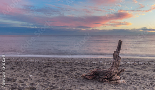 Nerja, Malaga, Andalusi, Spain - November 23, 2018: Old tree trunk stranded on a beach in a beautiful sunset