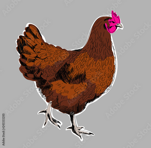 hen 01