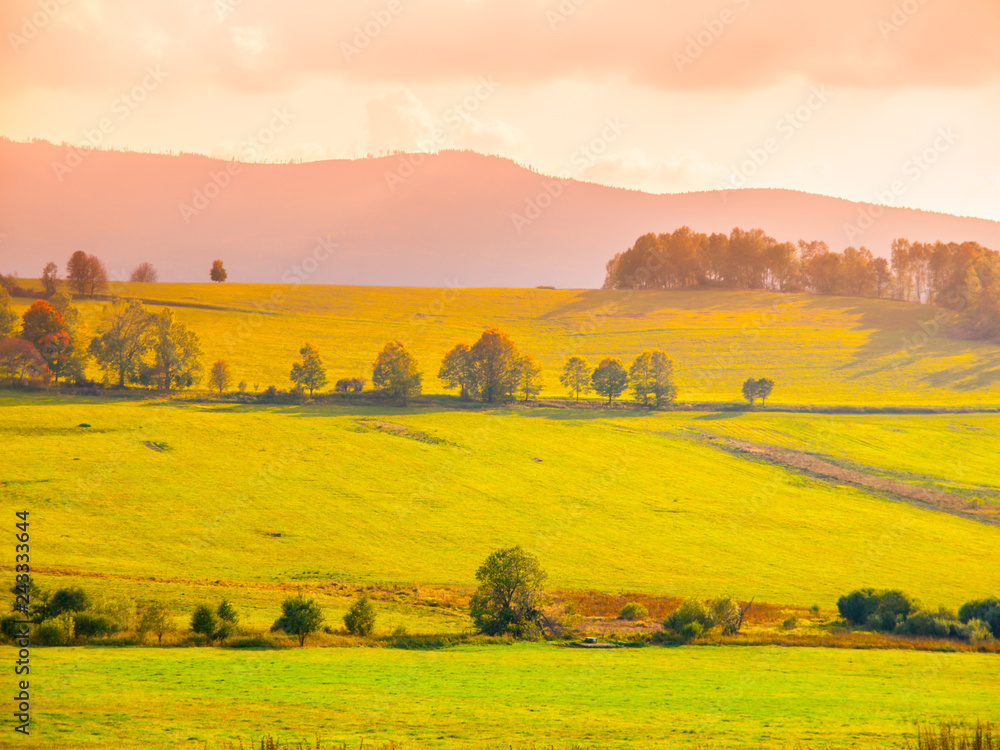 Fototapeta premium Landscape of Sumava meadows, Southern Bohemia, Czech Republic