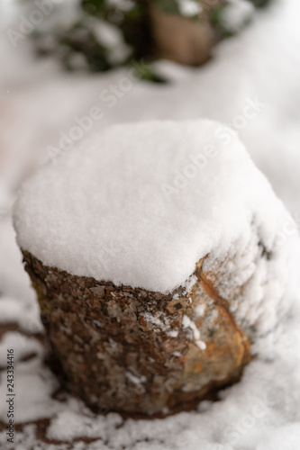 verschneiter Baumstumpf