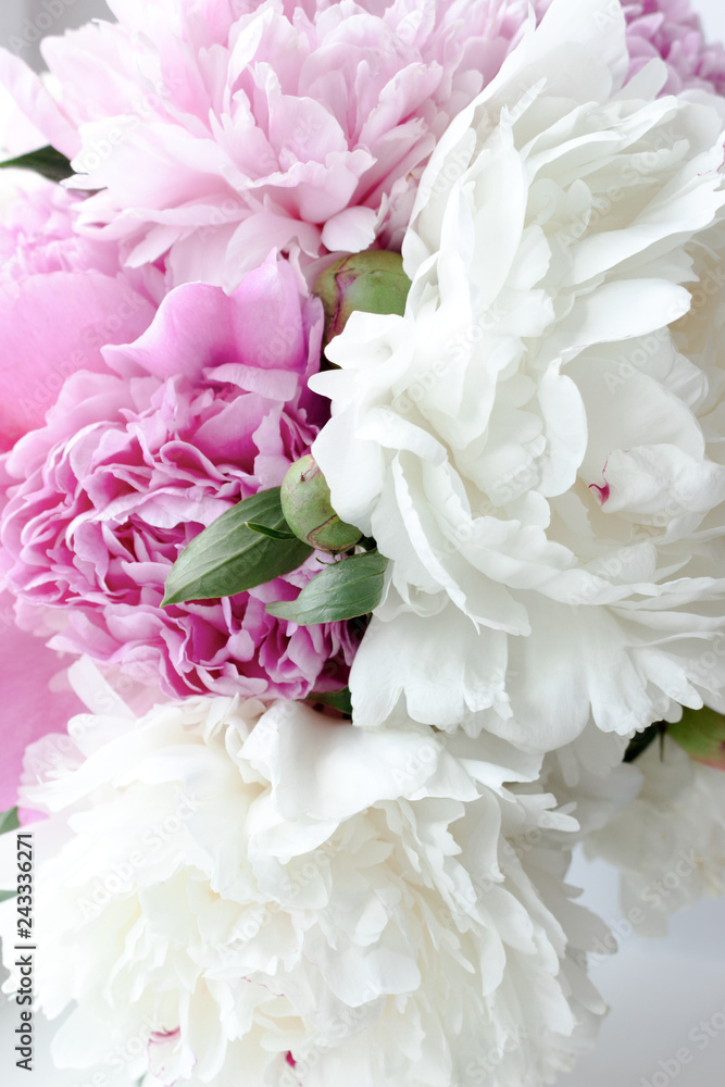 Close up of peonies Close up of peonies