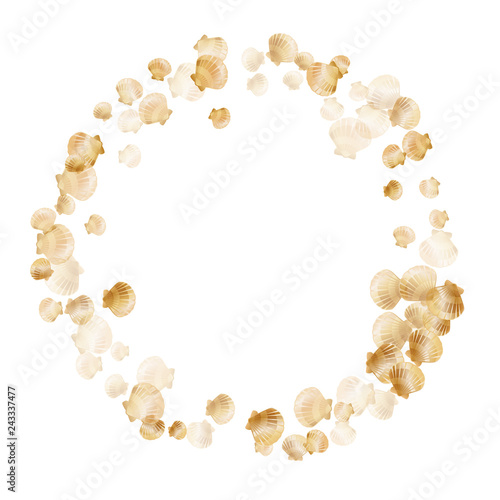 Gold seashells vector, golden pearl bivalved mollusks