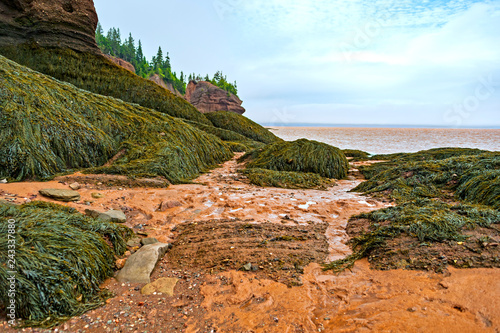 Fundy National Park, located on the Bay of Fundy in New Brunswick, Canada, has the highest tides in the world 