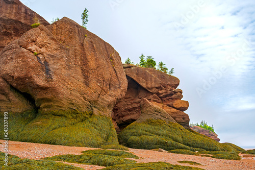 Fundy National Park, located on the Bay of Fundy in New Brunswick, Canada, has the highest tides in the world 