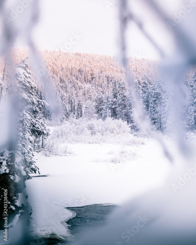 Ice snowy winter river