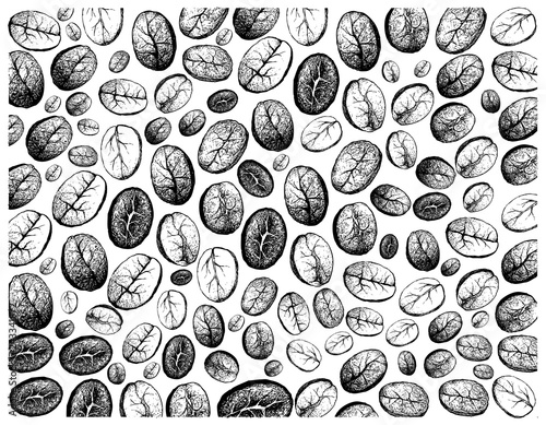 Coffee Time, Illustration Wallpaper of Hand Drawn Sketch of Roasted Coffee Beans Background.