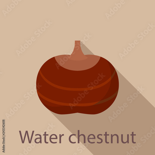 Water chestnut icon. Flat illustration of water chestnut vector icon for web design