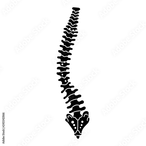 Spine icon. Simple illustration of spine vector icon for web design isolated on white background