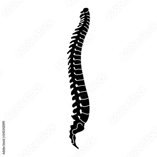 Human spine icon. Simple illustration of human spine vector icon for web design isolated on white background