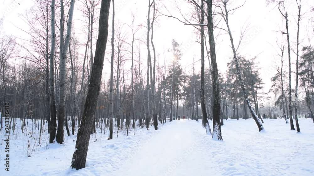 View of the road in the winter fairy-tale Park of the city. View of the road in the winter fairy-tale Park of the city.