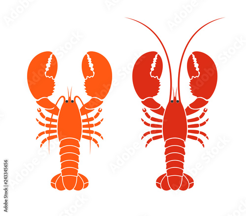 Abstract lobster. Isolated lobster on white background