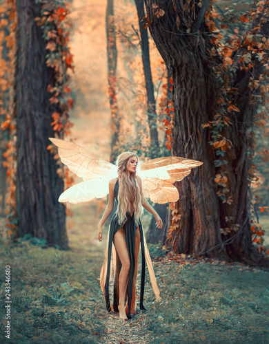 Stampa su Tela Incredible fairy walks