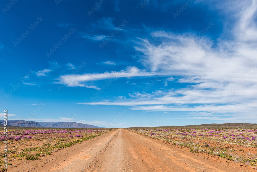 Road landscape in the Tankwa Karoo Road landscape in the Tankwa Karoo