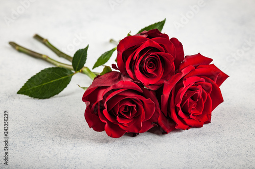 Fresh red roses on stone background