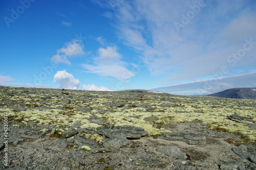 Rocky plateau Khibinsky mountains, covered with lichen. Clouds are rising from the horizon. © Nelli