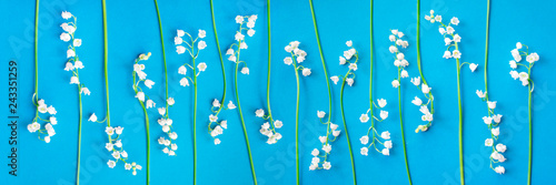 Sprigs of lily of the valley on a blue background. Lilies of the valley on a blue background. Spring background