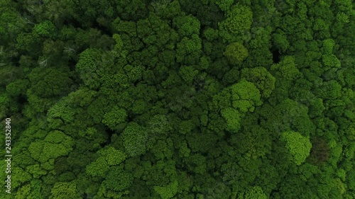 Aerial View Of The Forest In Eastern Europe. photo