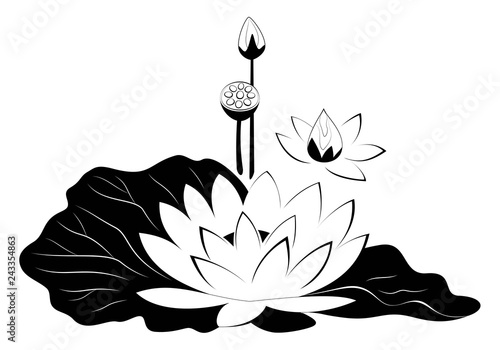 Fototapeta Naklejka Na Ścianę i Meble -  Lotus flower with leaves black silhouette. Poster with water lily vector illustration isolated on white background.