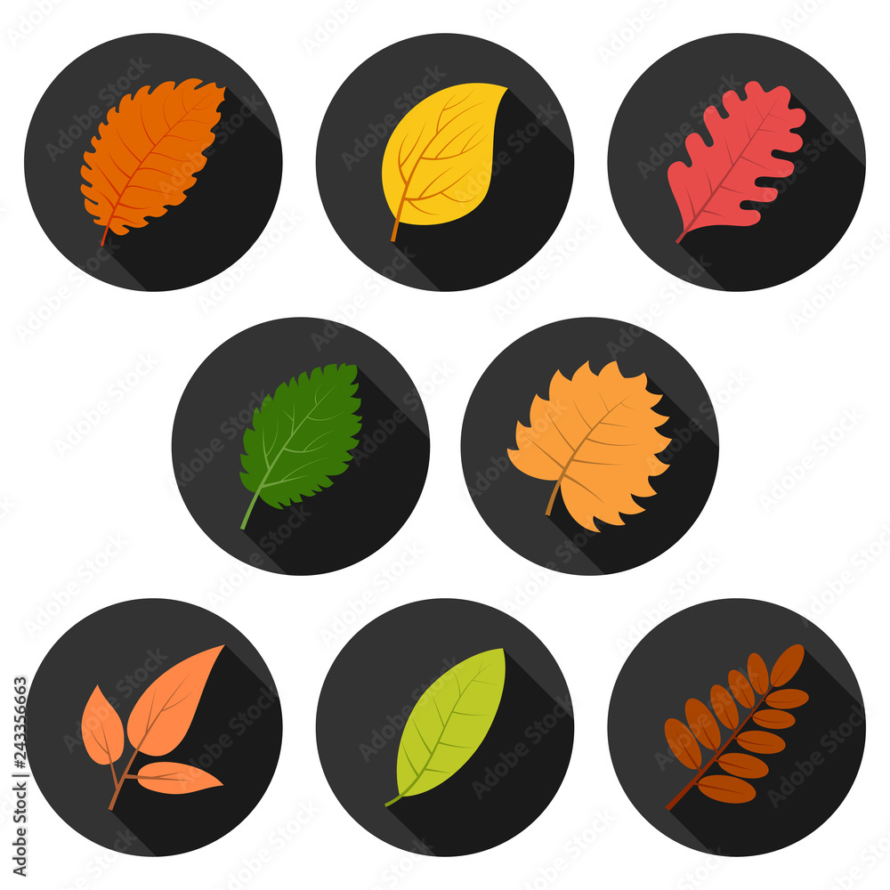 Set of eight autumn leaves in circles with shadows Set of eight autumn leaves in circles with shadows