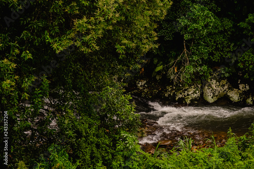 Margem de rio no meio do mato, com nascente de água potável e natural photo