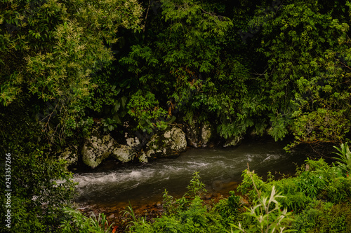 Margem de rio no meio do mato, com nascente de água potável e natural photo