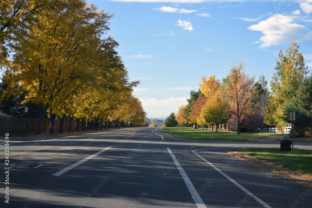 fall tree lined street with clouds fall tree lined street with clouds