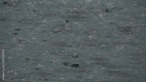 Rain ripples on the road